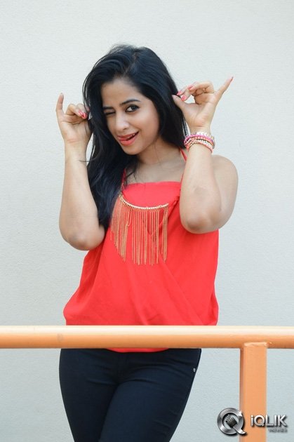 Swathi-Deekshith-at-Ladies-and-Gentlemen-Movie-Success-Meet